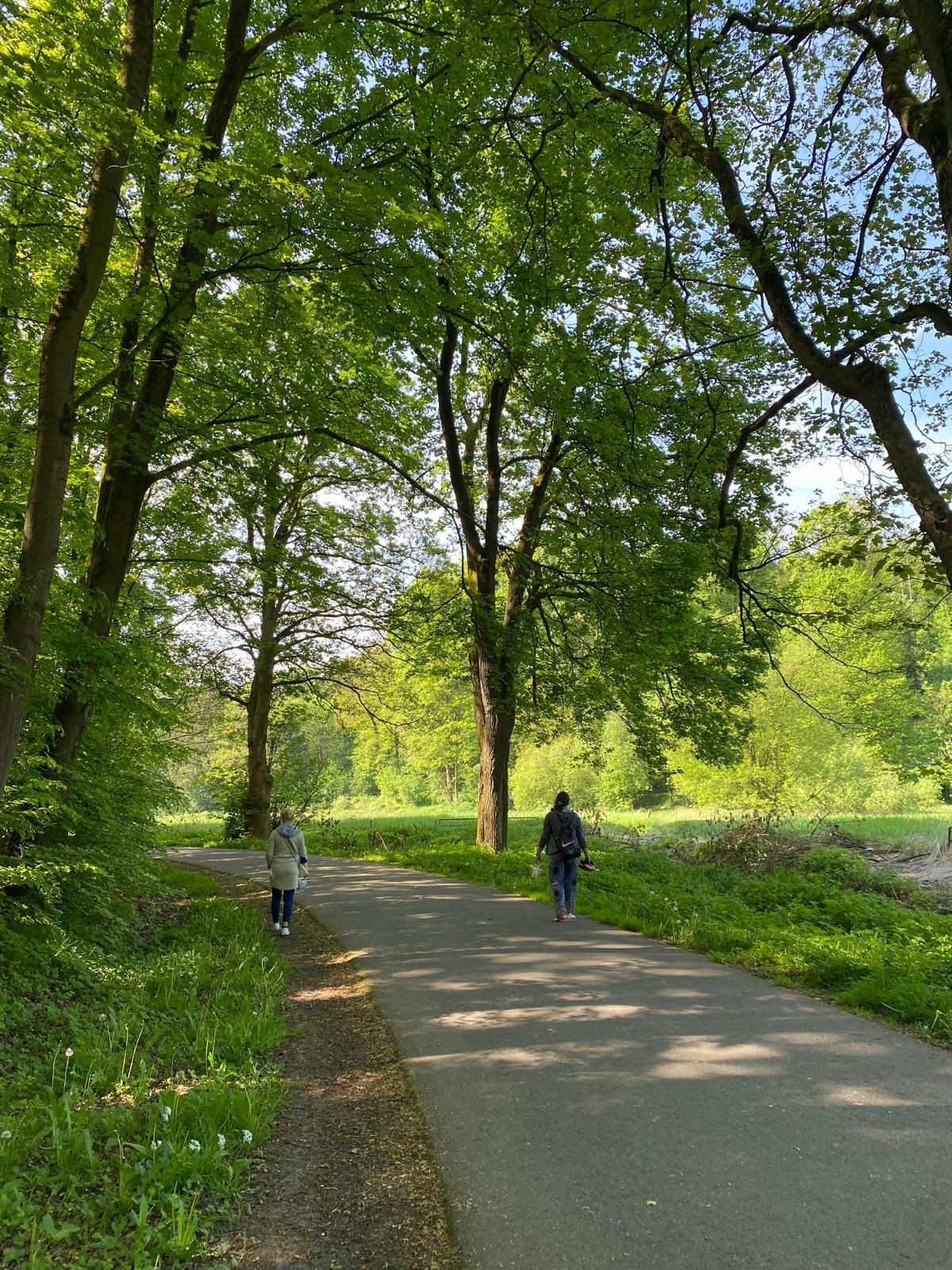 Ein Bild von 2 Personen, die  Achtsamkeit im Wald Ã¼ben.