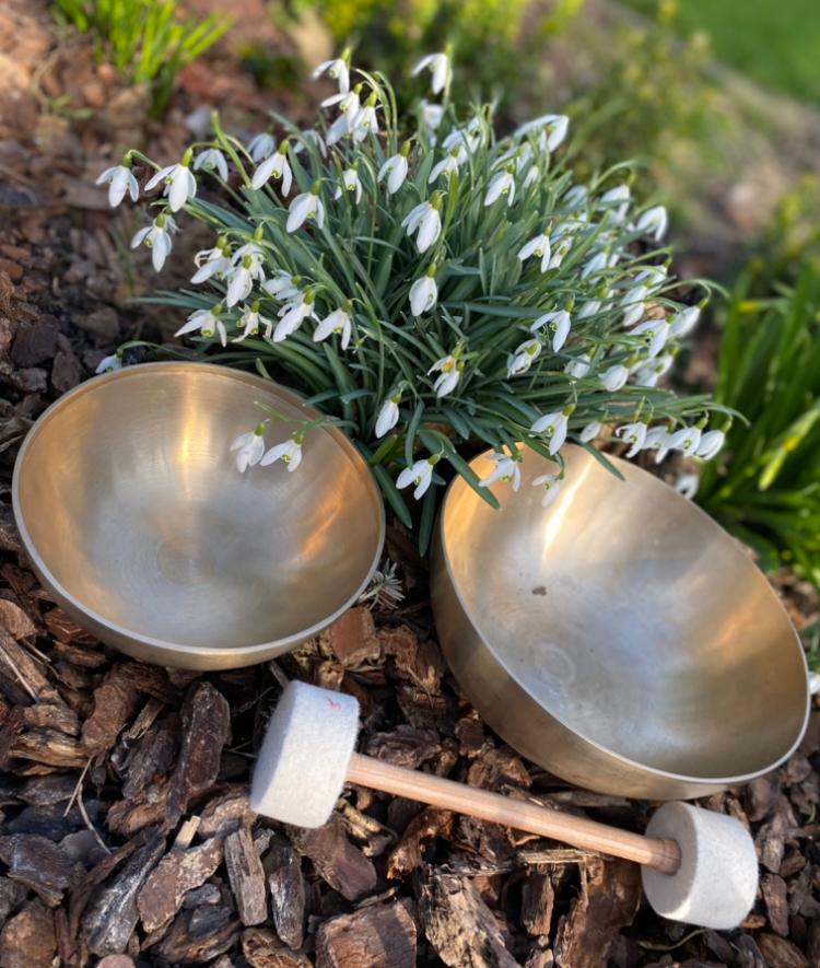 Die Klangschalen wecken die Blumen aus dem Winterschlaf.